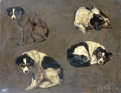 犬の4つの研究 作： Guillaume Anne van der Brugghen