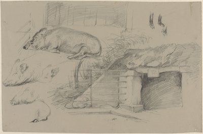 アルティスのイノシシ公園で豚の研究をしたスケッチ シート 作： Guillaume Anne van der Brugghen