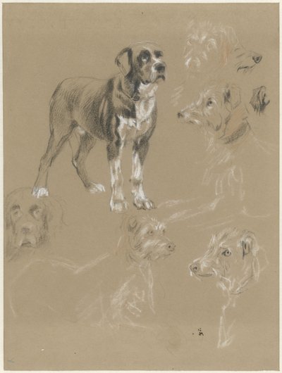 犬の研究 作： Guillaume Anne van der Brugghen