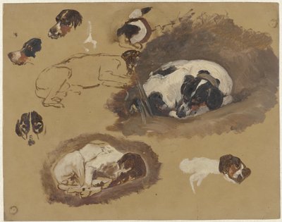 狩猟犬の研究 作： Guillaume Anne van der Brugghen