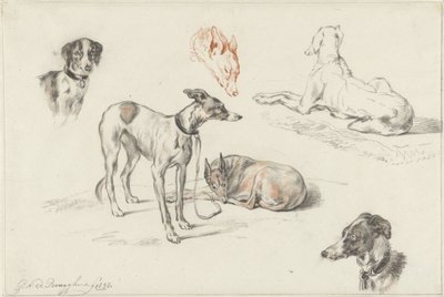 犬の研究 作： Guillaume Anne van der Brugghen