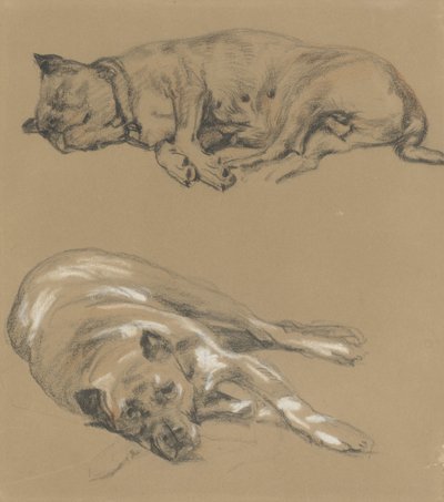 横になっている犬の 2 つの研究 作： Guillaume Anne van der Brugghen