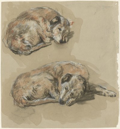横になっている犬の 2 つの研究 作： Guillaume Anne van der Brugghen