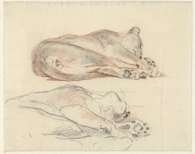 横になっているトラの 2 つの研究 作： Guillaume Anne van der Brugghen