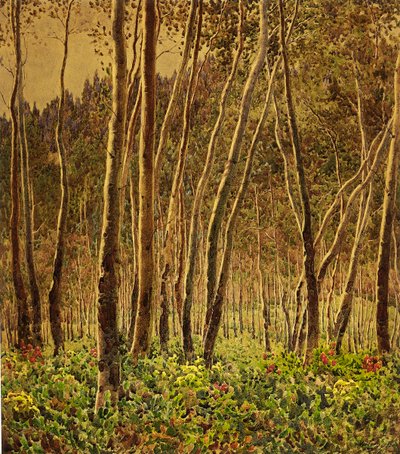 太陽に照らされた白樺 作： Gunnar Widforss