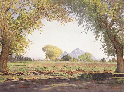 ソルトリバーバレー（紙にcとガッシュ付き） 作： Gunnar Widforss
