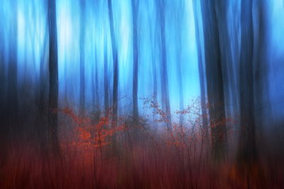  作： Gustav Davidsson