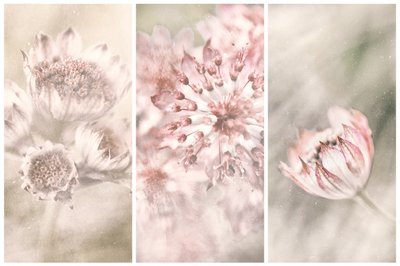  作： Gustav Davidsson
