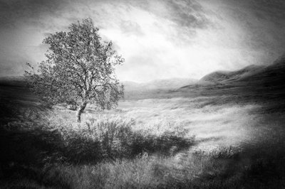  作： Gustav Davidsson