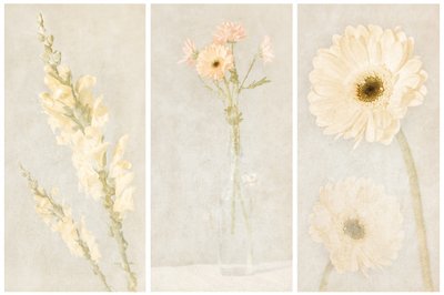 色あせた花の三連画 作： 