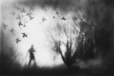  作： Gustav Davidsson