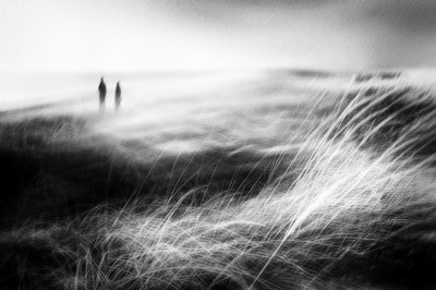  作： Gustav Davidsson