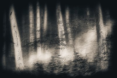  作： Gustav Davidsson