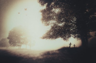  作： Gustav Davidsson