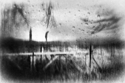  作： Gustav Davidsson