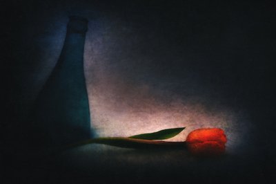  作： Gustav Davidsson