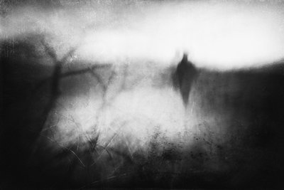  作： Gustav Davidsson