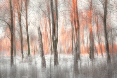 作： Gustav Davidsson