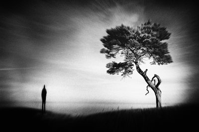  作： Gustav Davidsson