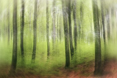  作： Gustav Davidsson