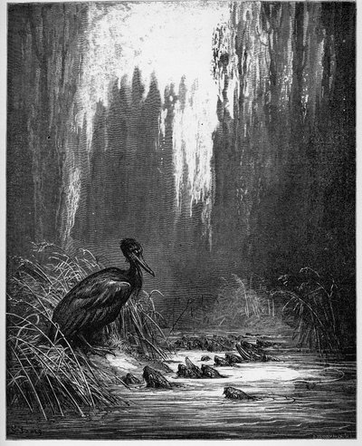 les poisson et le cormorant - 魚と鵜 - Jean de La Fontaine (Lafontaine) (1621-95)の「寓話」より - Gustave Dore (1832-83)の後のエングレービング - 個人蔵 作： Gustave (after) Dore