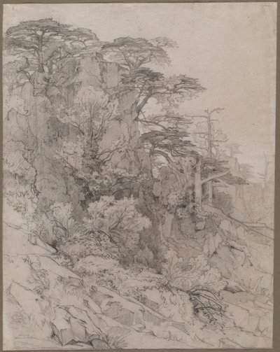 ロッキーヒルサイドの木々 作： Gustave Achille Guillaumet