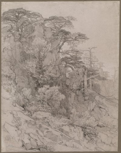 ロッキーの丘陵地の木、1800年代後半 作： Gustave Achille Guillaumet