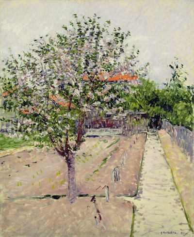 ブロッサムのリンゴの木、1885年 作： Gustave Caillebotte
