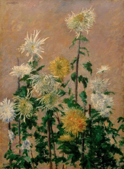 白と黄色の菊 作： Gustave Caillebotte