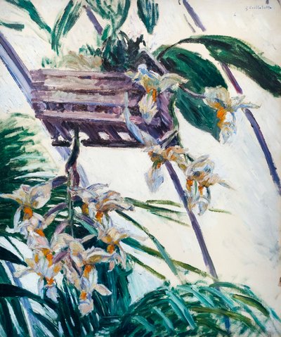 ラン、c。 1893年（キャンバスに油彩） 作： Gustave Caillebotte