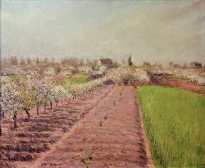 リンゴの花、鳩の丘の中腹 作： Gustave Caillebotte