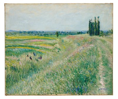 ジュヌヴィリエの平原、ポプラの群生、1883年頃（油彩・カンヴァス） 作： Gustave Caillebotte