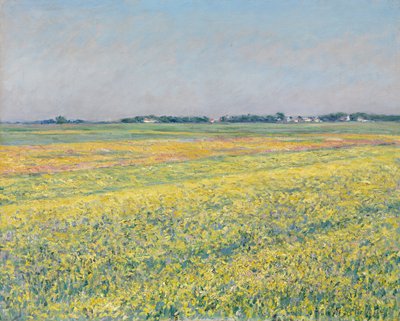 ジュヌヴィリエの平原、黄色い野原 作： Gustave Caillebotte