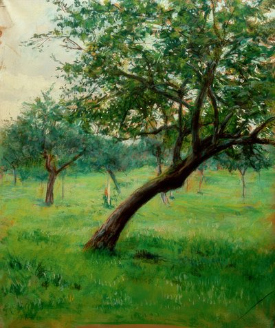 オーチャードは、ノルマンディーではオーチャードとも呼ばれます 作： Gustave Caillebotte