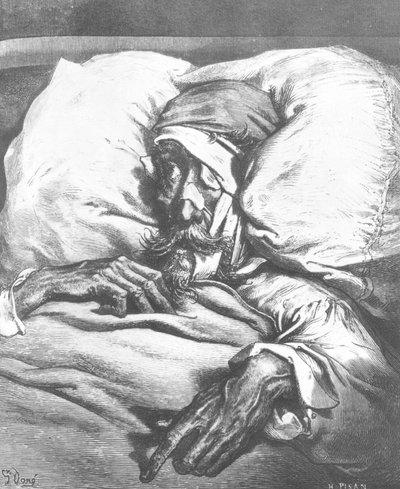 ドンキホーテが負傷 作： Gustave Dore