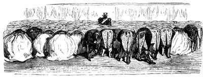 聖なるロシアの歴史。冬の宮殿での素晴らしいボール、1854年。 作： Gustave Dore