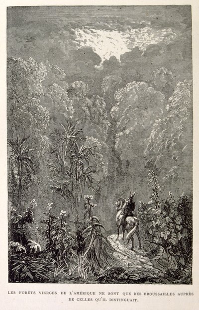 アメリカの森のイラスト（La legende de Croque-Mitaineより）。 作： Gustave Dore