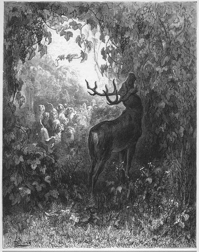 LE CERF ET LA VIGNE-鹿とつる-ジャン・ド・ラ・フォンテーヌの「寓話」より 作： Gustave Dore