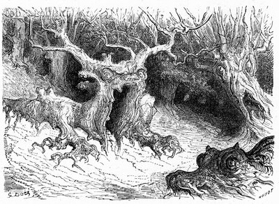 オッソー渓谷の怪物的なブナ、擬人化された怪物の木。1860年、アシェット社刊『Hippolyte Taineのピレネーへの旅』の挿絵を描いたギュスターヴ・ドーアのエングレーヴィング。 作： Gustave Dore