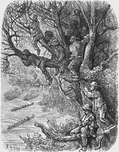 「木にとまる」、1872年。 作： Gustave Dore
