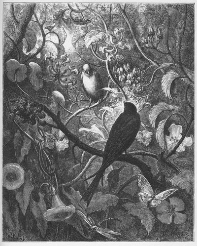 Philomele et Progne-Jean de LaFontaineによる「Fables」から 作： Gustave Dore