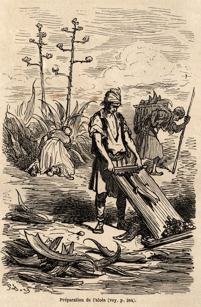 1862年にC.Davillierと共にスペインを訪れた際に描いたGustave Dore（1832-1883）の絵。Le tour du monde "に掲載された版画。 作： Gustave Dore