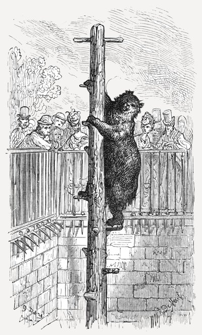 「ベア ピット - 動物園」、1872 年。 作： Gustave Dore