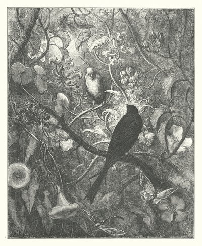 ラ・フォンテーヌの寓話：フィロメルとプロニュ（エングレーヴィング） 作： Gustave Dore