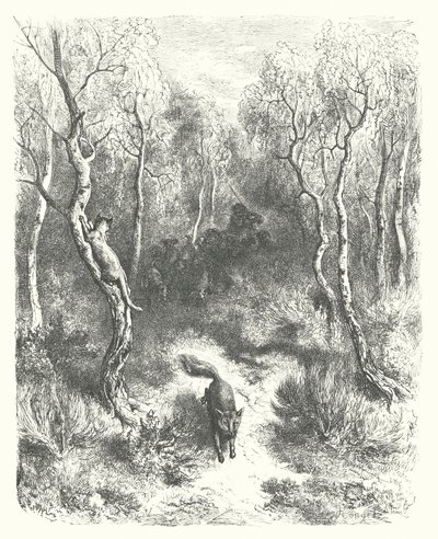 ラ・フォンテーヌの寓話猫と狐（エングレーヴィング） 作： Gustave Dore