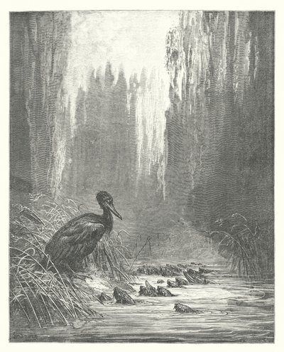 ラ・フォンテーヌの寓話鵜と魚たち（エングレーヴィング） 作： Gustave Dore