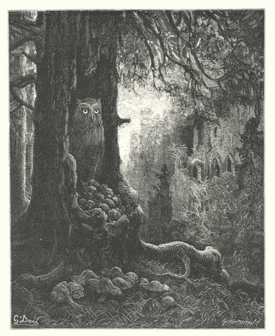 ラ・フォンテーヌの寓話フクロウとネズミ（エングレーヴィング） 作： Gustave Dore