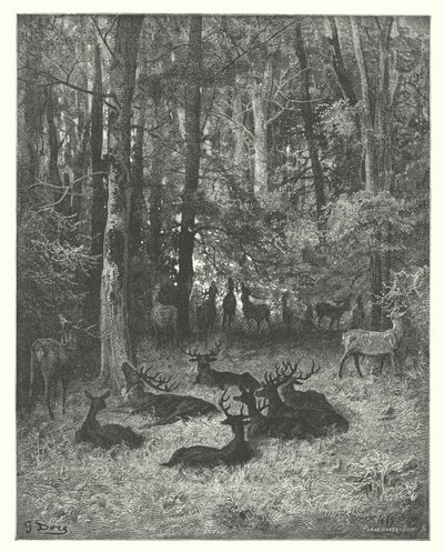 ラ・フォンテーヌの寓話病気の雄鹿（エングレーヴィング） 作： Gustave Dore