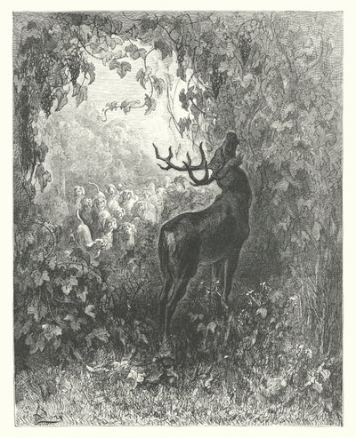 ラ・フォンテーヌの寓話：鹿とぶどうの木（エングレーヴィング） 作： Gustave Dore