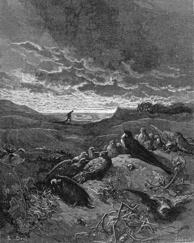 ツバメと鳥、ラフォンテーヌ作「寓話」（1868年）のイラスト 作： Gustave Dore